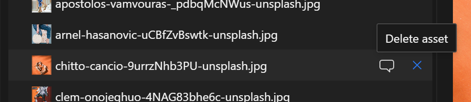 A close up of the X next to each image file, that allows the user to delete an asset.