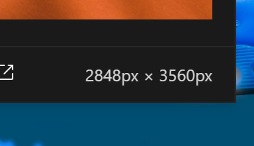 A close up of the displayed pixel dimensions of the asset.